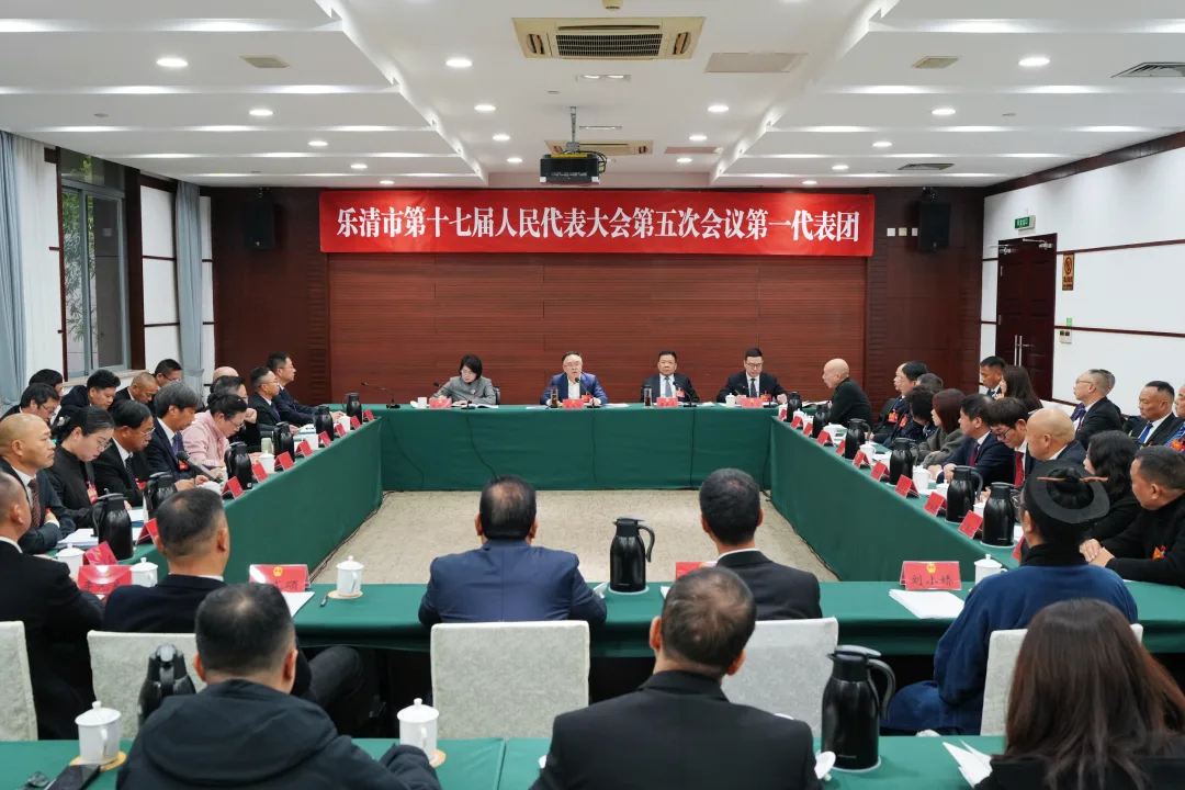 乐清市领导参加人大代表团活动