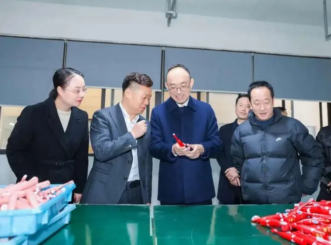 平阳县委书记孟晓斌赴乡镇调研并督查安全生产工作