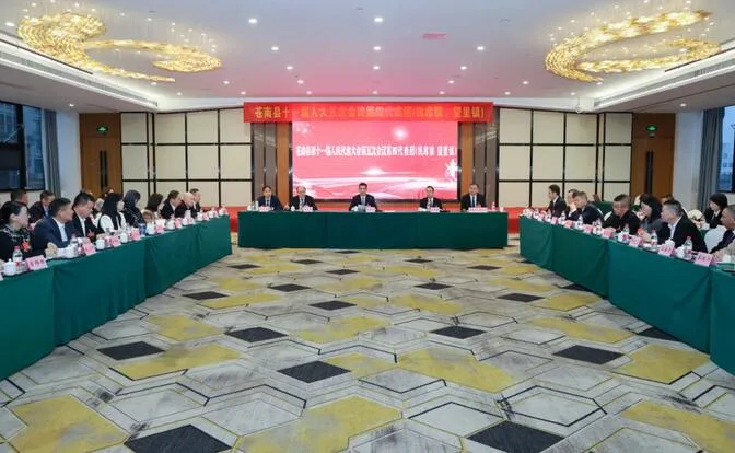 苍南县委书记张本锋参加第二、第四、第九代表团审议