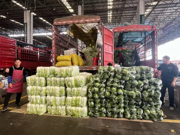 温州人年度餐桌C位定了！一天吃瓜236吨