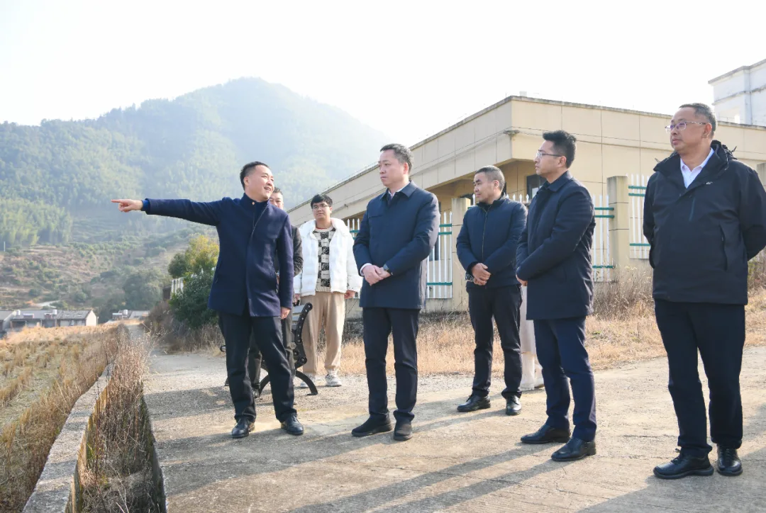 文成县委书记罗招政赴乡镇开展乡村振兴工作调研