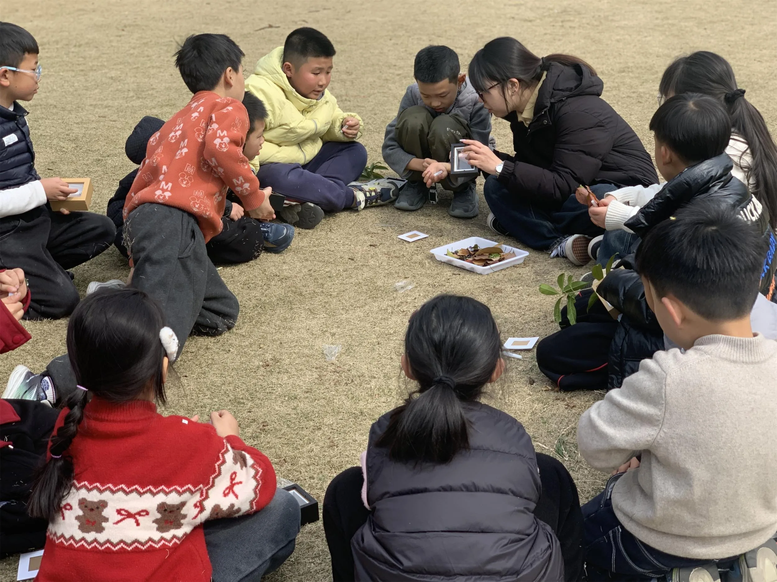 瓯海潘桥街道桐汇社区：儿童化身植物“侦察兵”，探秘家门口的自然王国