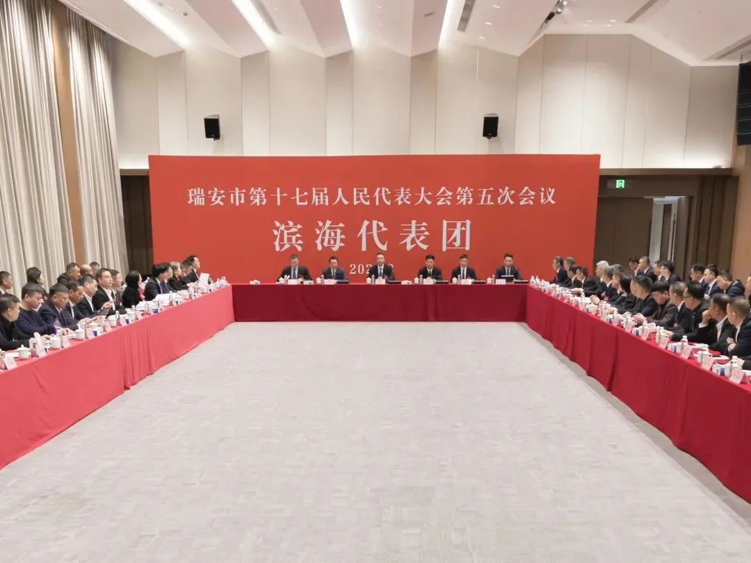 瑞安市委书记李剑锋参加滨海、湖岭代表团审议