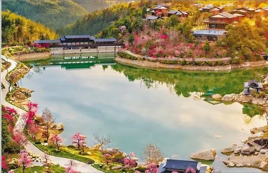 泡温泉观花海 温州楠溪江畔一池暖流驱寒意