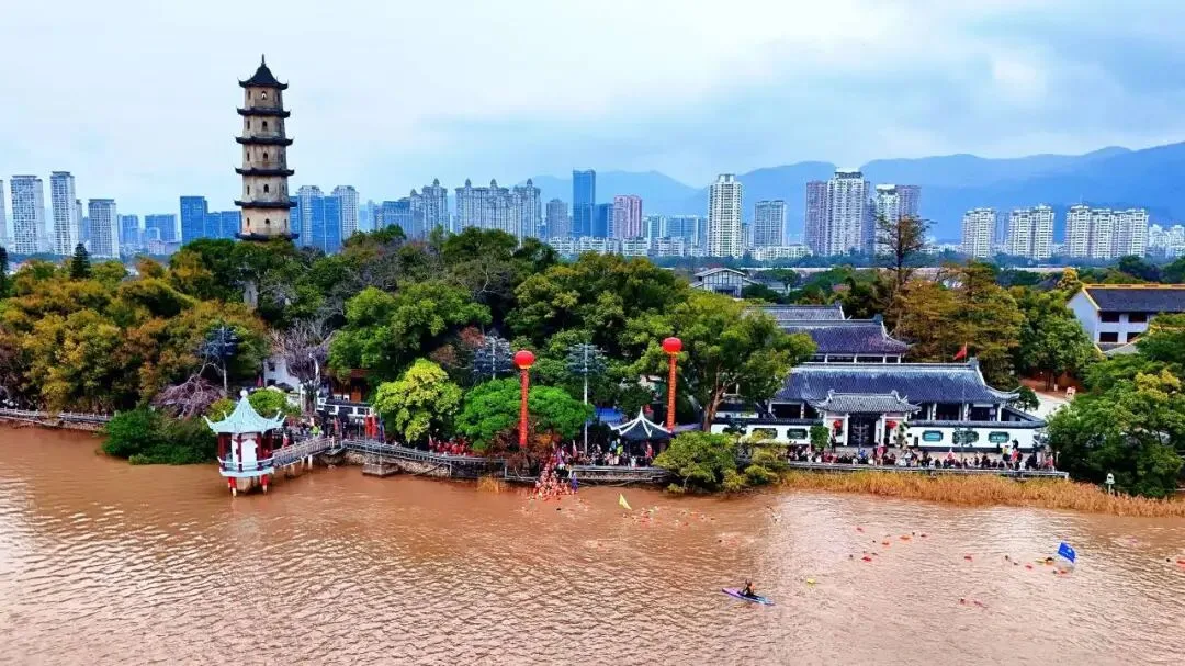 249条“飞鱼”闹新春，瓯江横渡44年从未缺席