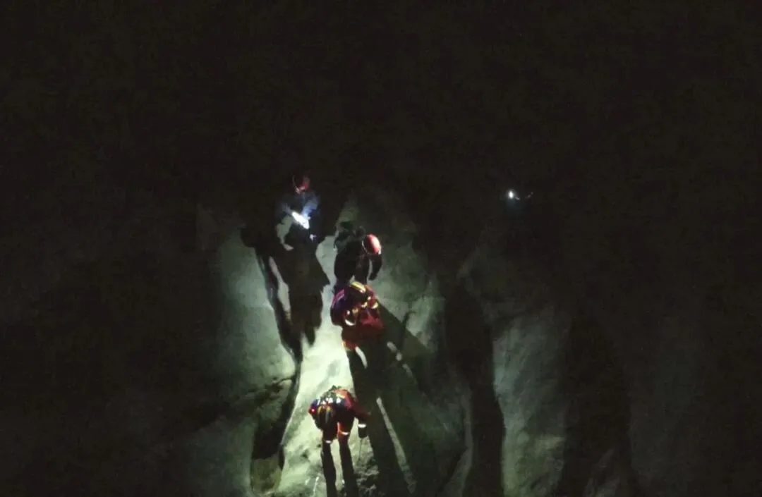 大年初一深夜急援！无人机“热成像”锁定大罗山，6小时生死营救迷路一家三口