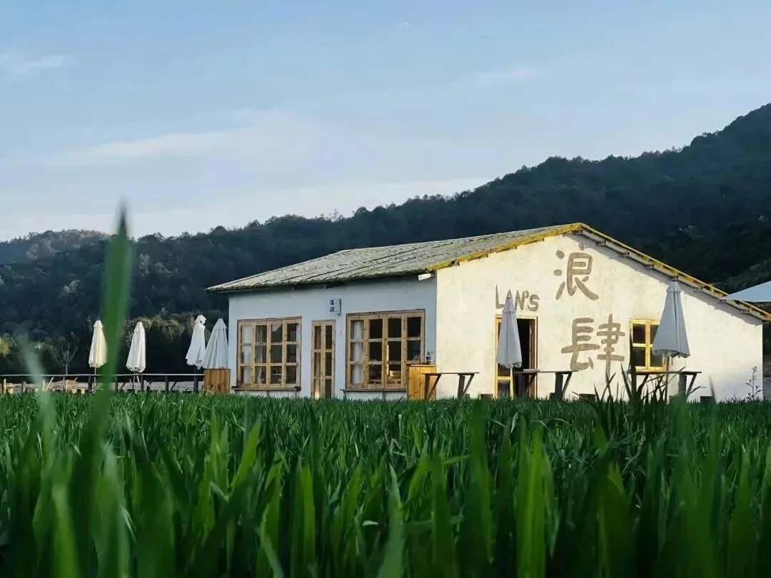 泰顺：马年的第一杯咖啡，我上村里喝