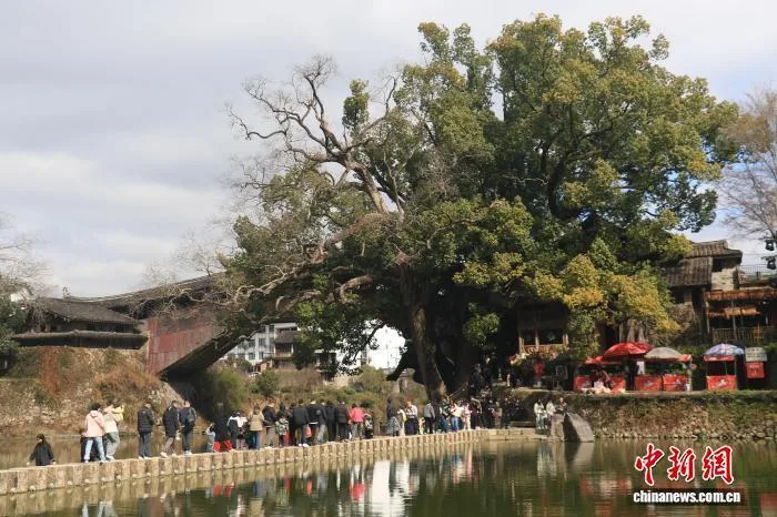 浙江温州：古廊桥年味浓引客来