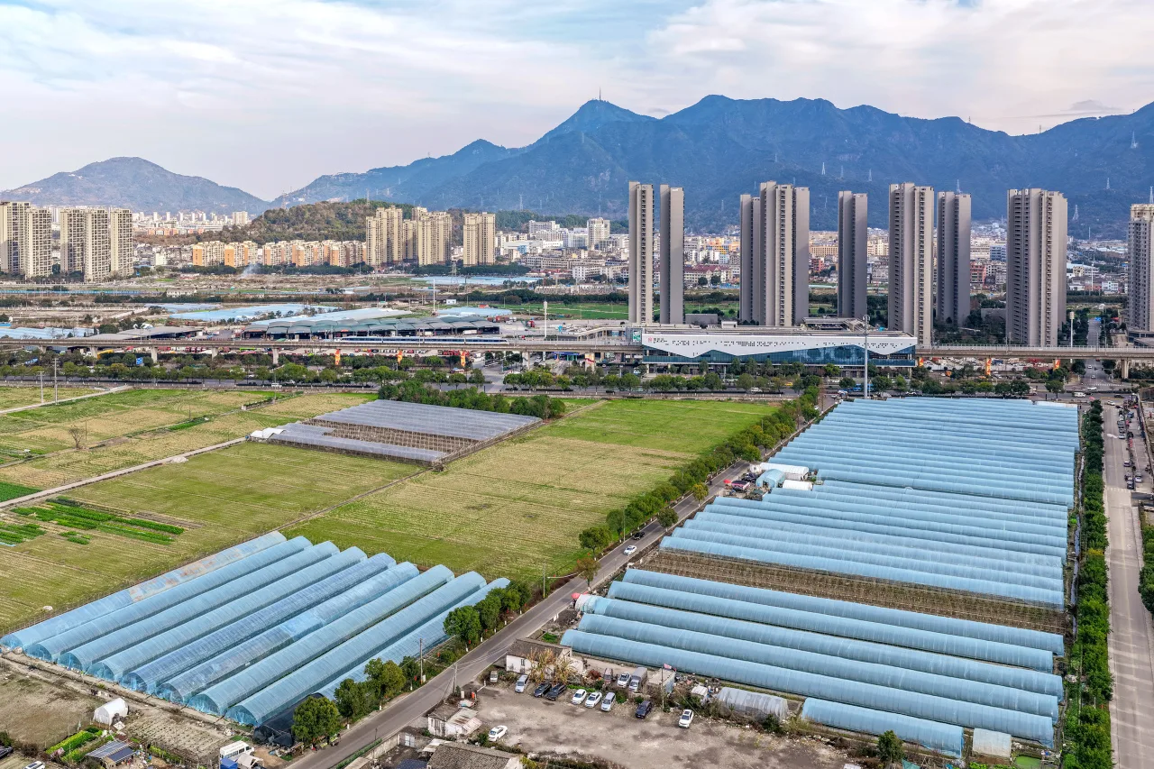 潘桥草莓园春节宠粉：不涨价，随便摘！