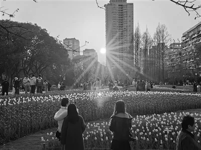 马年新春“嗨”翻啦！温州老街、景区、公园里“人海”乐不停