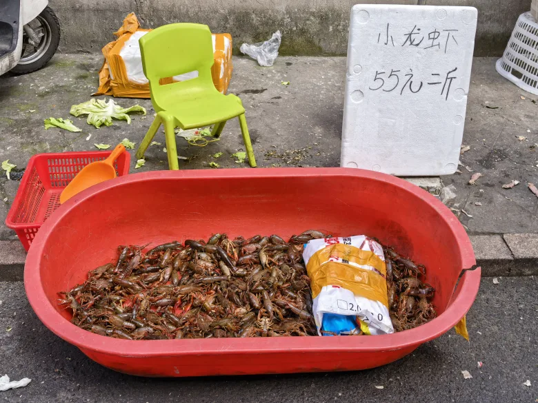 “夜宵顶流”悄然上市！温州第一批小龙虾来咯！