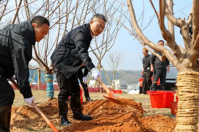 瓯海区四套班子领导开展义务植树活动