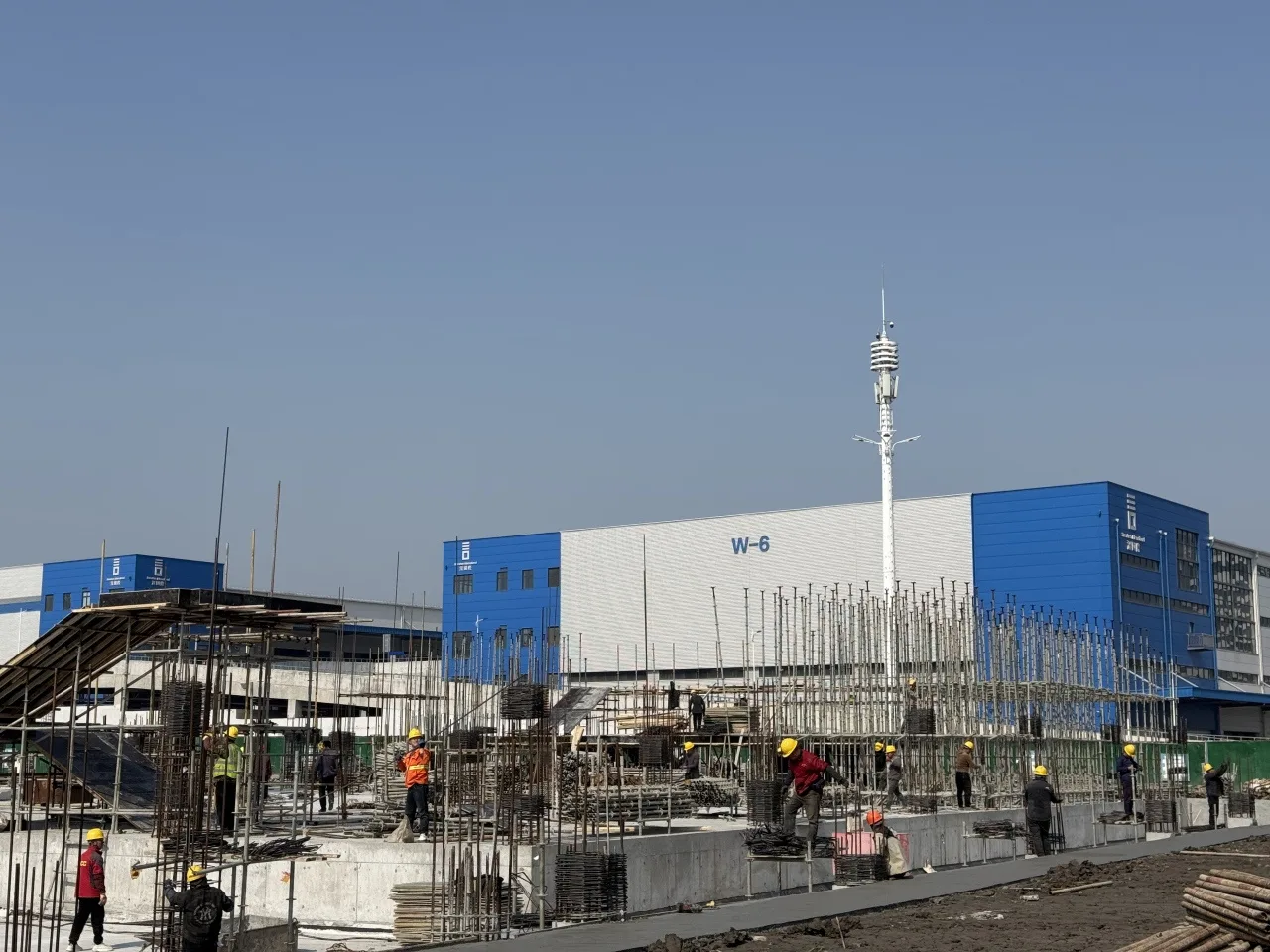 主体结构有望6月结顶 龙港年产2万吨冷冻海产品生产基地项目全力推进