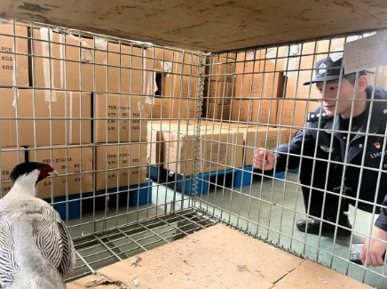 “林中仙子”误入厂区 警民守护平安放归