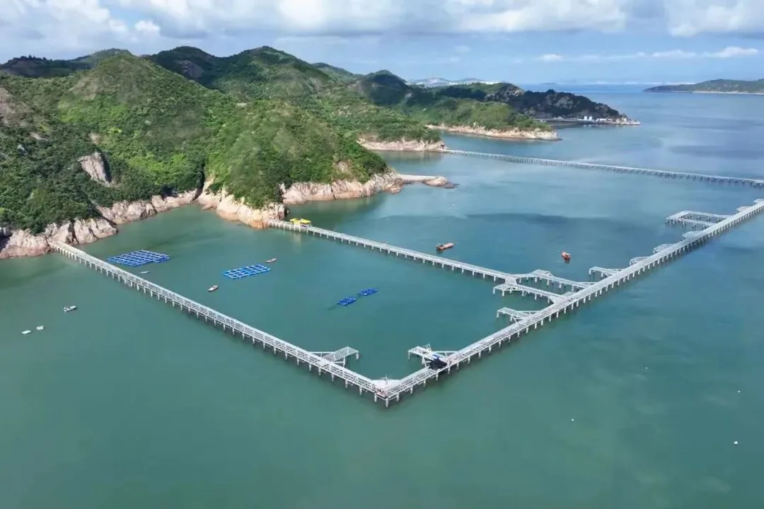 洞头再添省级名片 金丰海洋牧场入选省高效生态农场