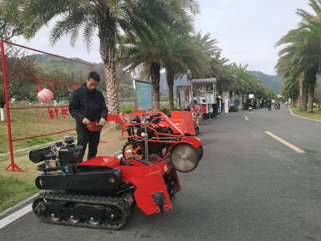 全省春耕备耕暨送科技下乡、水稻机插现场推进会走进乐清