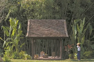 “有一种生活叫做云南生活” 陈祖品雨林宿集项目扎根西双版纳