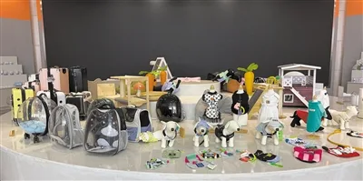 平阳两家企业跨界“它经济” 布局宠物智能电器与便携舱
