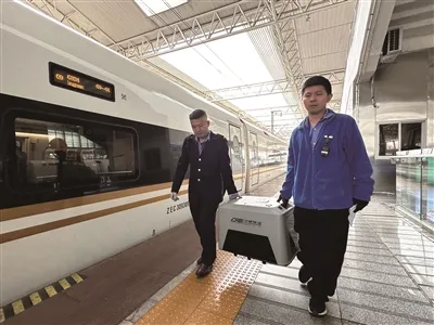 萌宠也能上高铁了 温州南站两趟列车可办理宠物托运