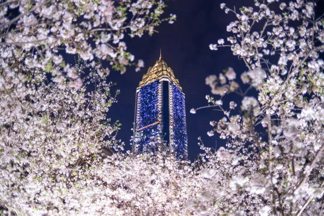 温州“上新”趣拍点 随手一拍就是大片