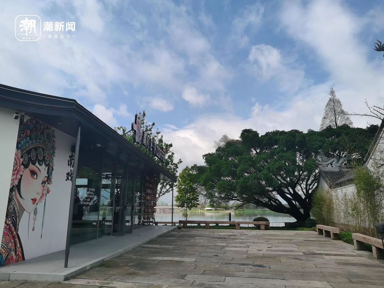 村口树成了园中宝 为了9棵古榕树温州园博园优化建设方案十余次