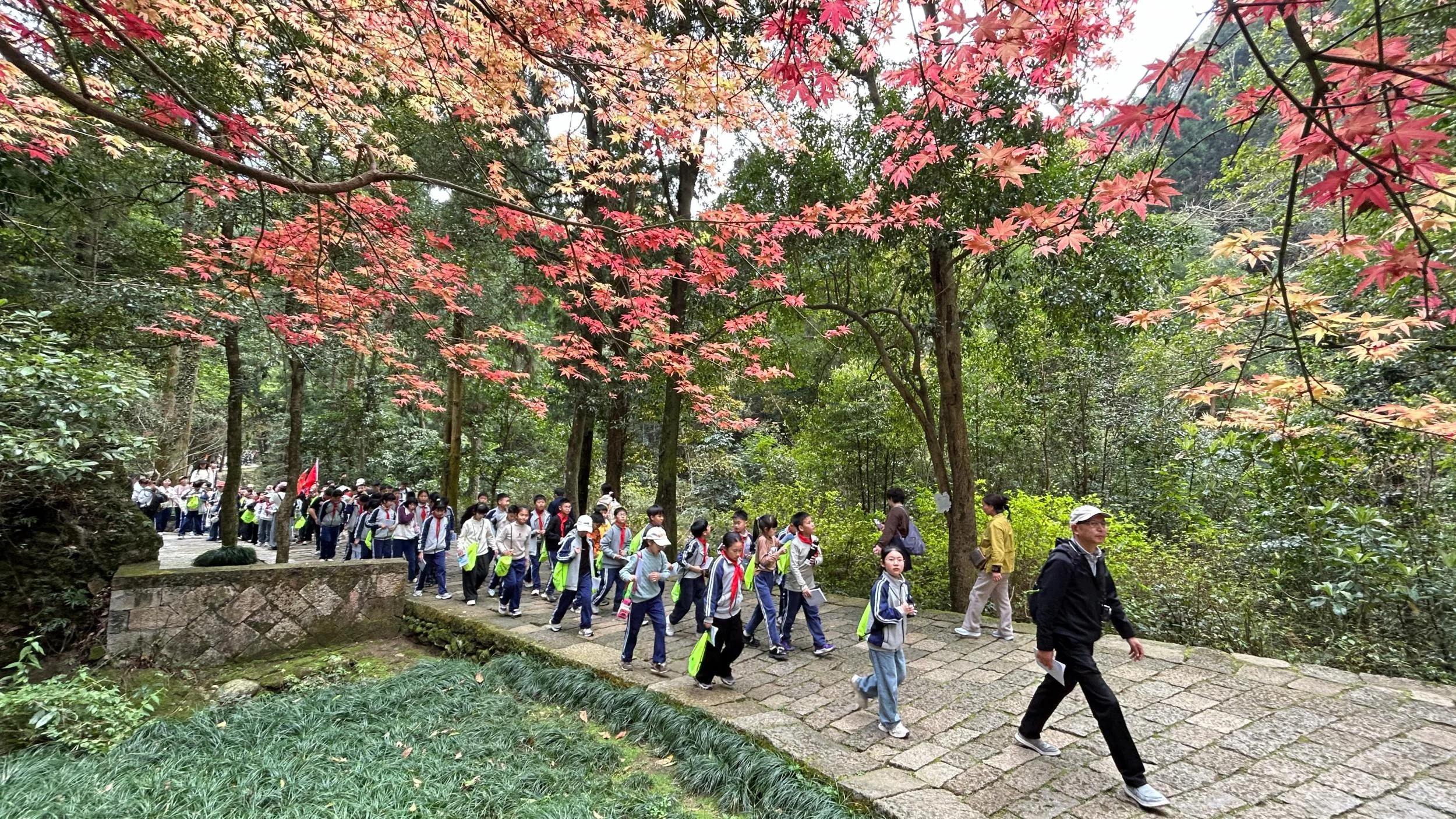 免票、研学、赏花……清明假期首日温州迎来“带娃大军”