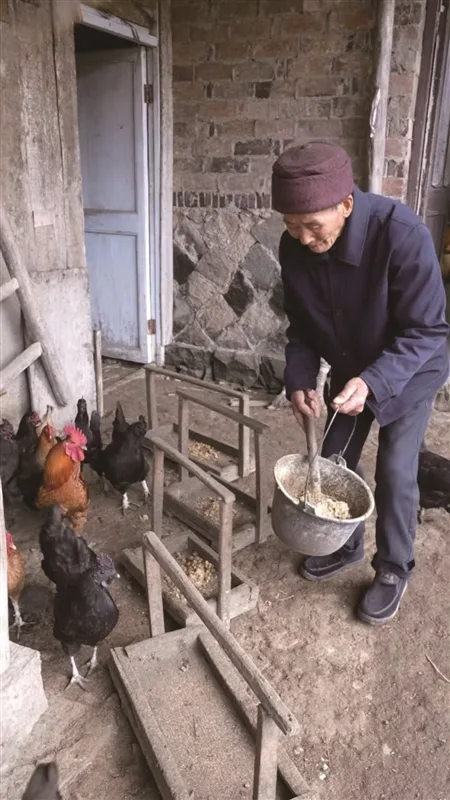 101岁陈爷爷的“勤深意农”