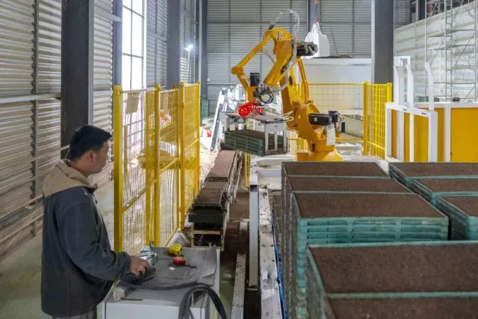 15秒抓取10个秧盘！乐清“藏技于农”，1只机械臂干完8个人的活