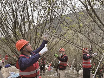 全国园林行业职业技能竞赛在温开赛 园博会迎来一批绿化造园高手