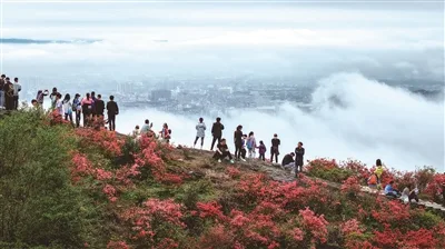乐清虹桥以花为媒 激活乡村发展动能