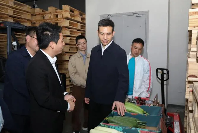 苍南县委书记张本锋赴桥墩、灵溪调研