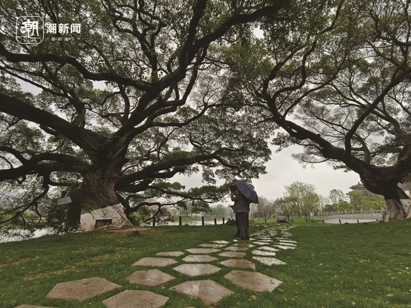 温州园博园成全省首个公园类“零碳园区”
