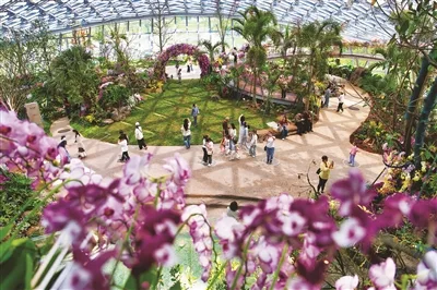 温州园博园开园后首个周末，人流量超27.9万人次