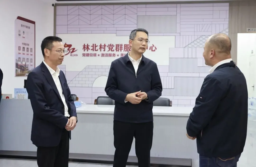 瑞安市领导督导基层村社主题党日活动