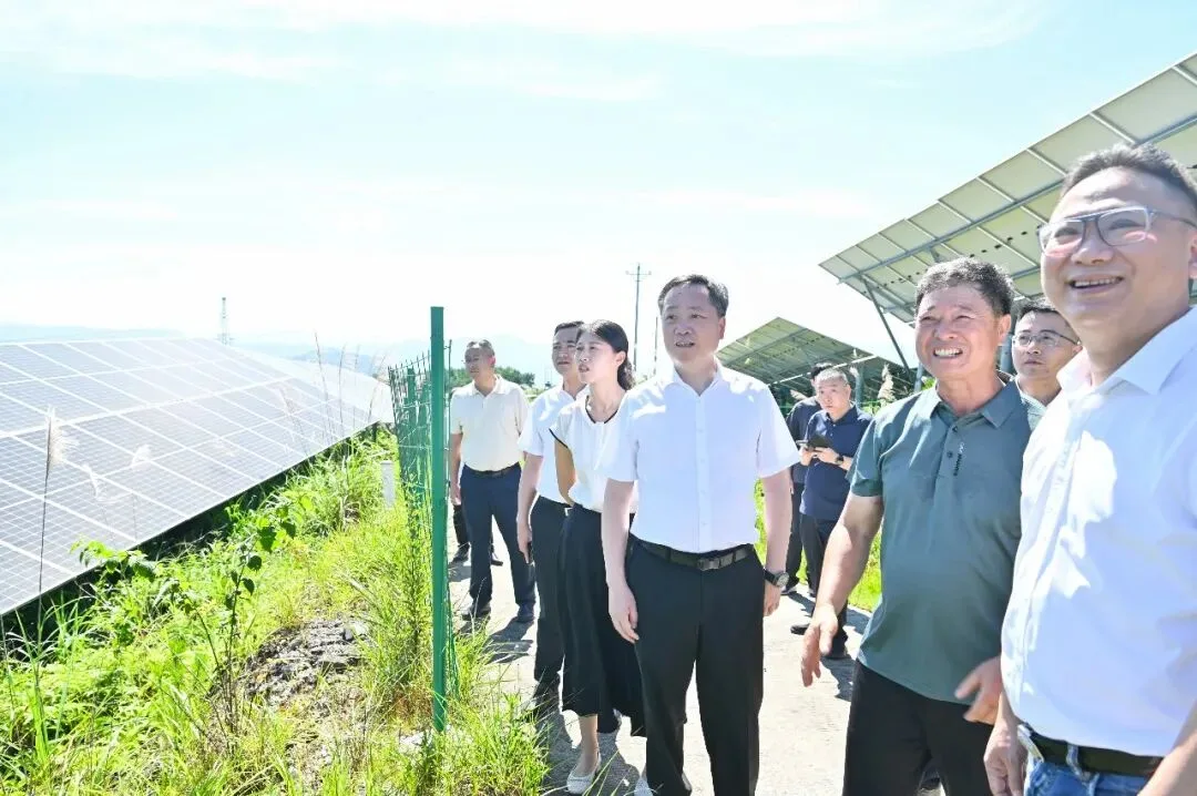 文成县委书记罗招政赴乡镇调研重点工作