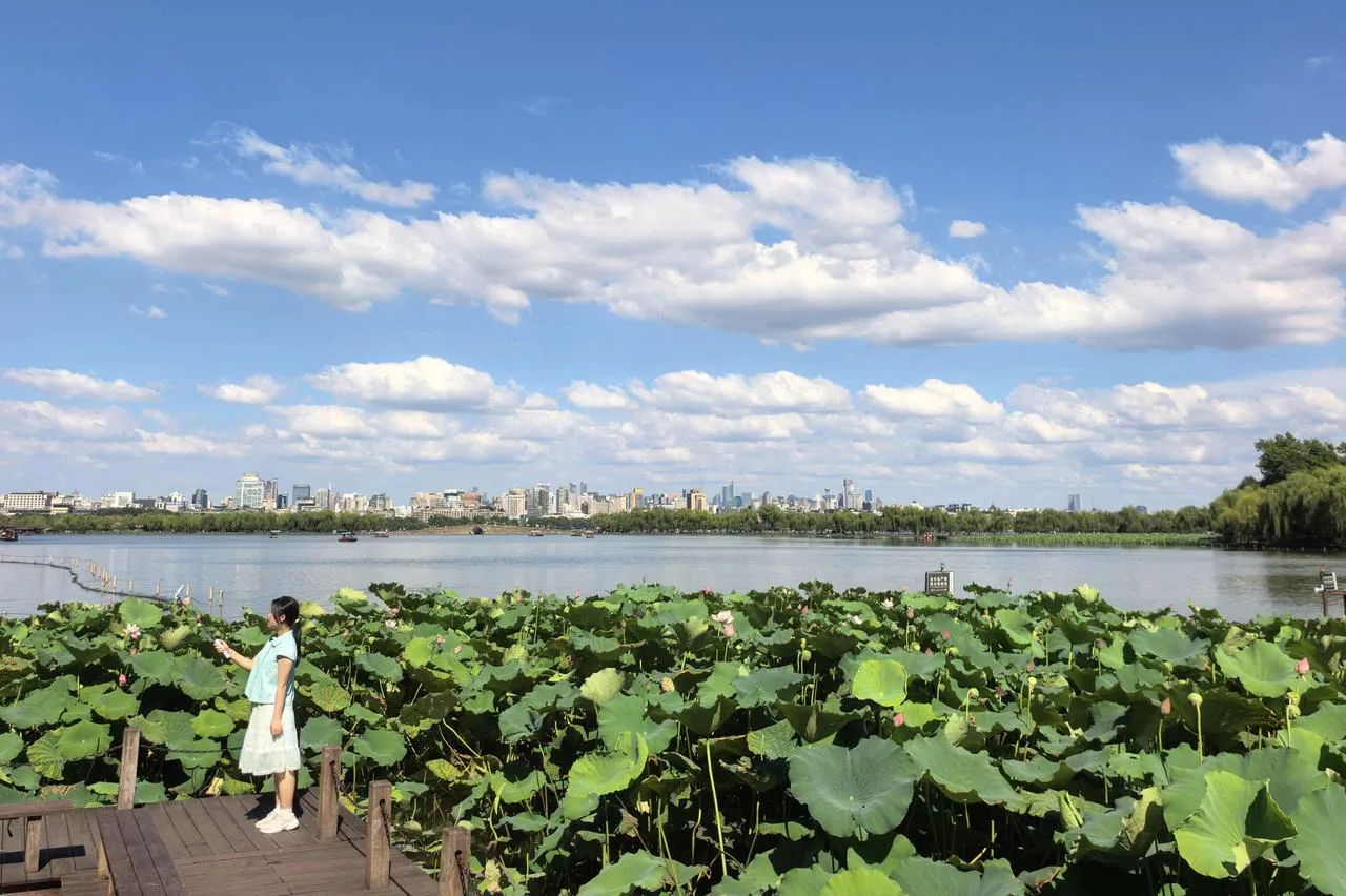 下周浙江要冲39℃，最难熬的“热带夜”，你一定要顶住