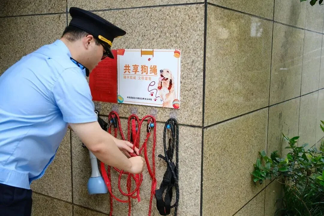 文明不掉“链”！平阳“共享狗绳”来了