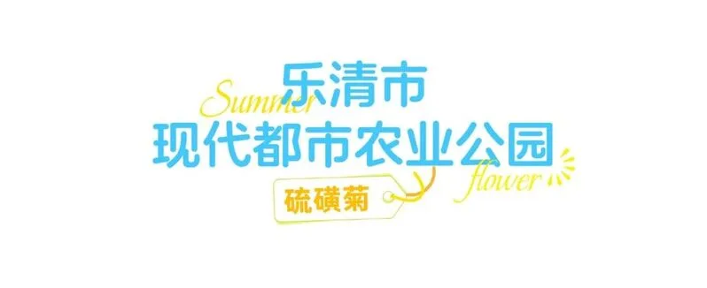 你是夏天的话，也会偏爱被「花海」承包的温州！ - 配图2