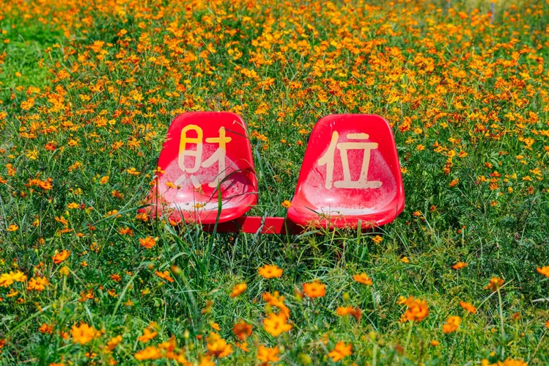 你是夏天的话，也会偏爱被「花海」承包的温州！ - 配图8