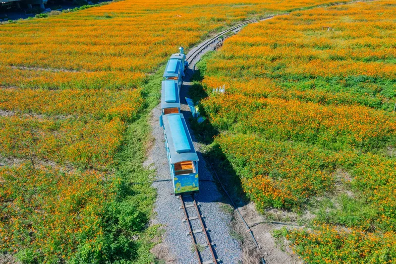 你是夏天的话，也会偏爱被「花海」承包的温州！ - 配图10