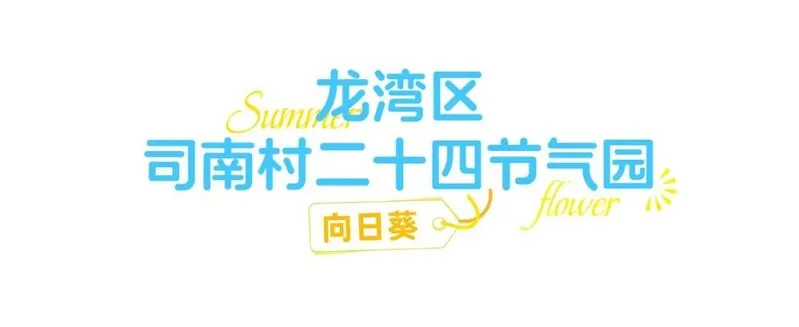 你是夏天的话，也会偏爱被「花海」承包的温州！ - 配图13