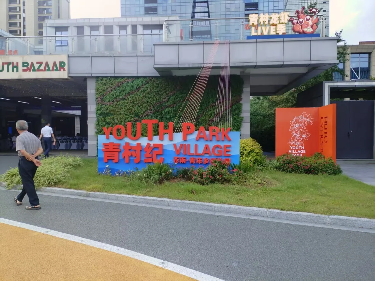以赛事为引擎园区为载体 苍南打造青年与乡村“双向奔赴”样板 - 配图4
