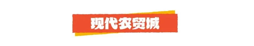 “温州海鲜采购地图”已上线，速来组队 - 配图7