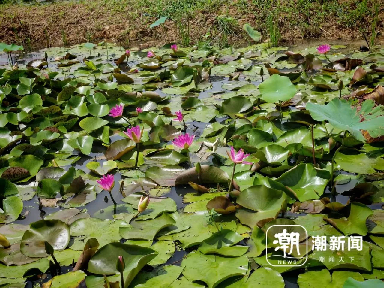 把舞台C位留给青年 在这里“洞见”一座海岛的青春力量 - 配图4