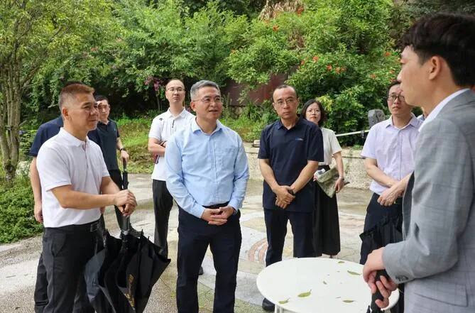 瓯海区委书记刘云峰专题调研山根艺术村改造提升工作