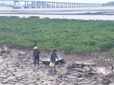 抓紧撤离！无人机 “空中喊话” - 配图2