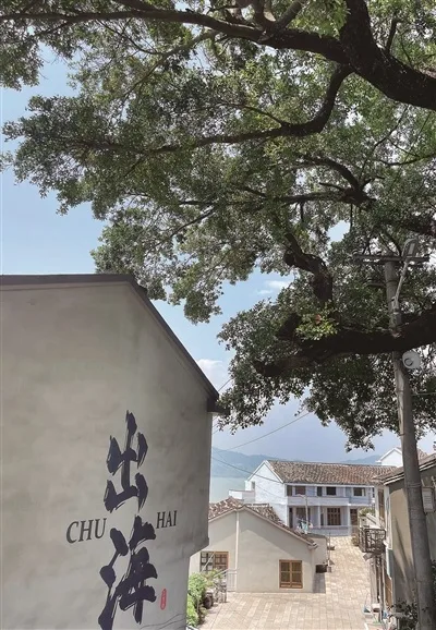 温州苍南：霞关红尘外 不只“妃子笑” - 配图2