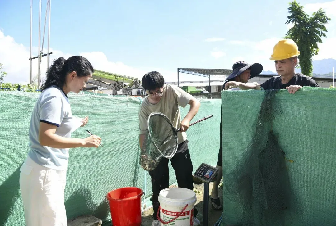 首批罗氏沼虾订单落地！文成这里“钱”景无限！ - 配图2