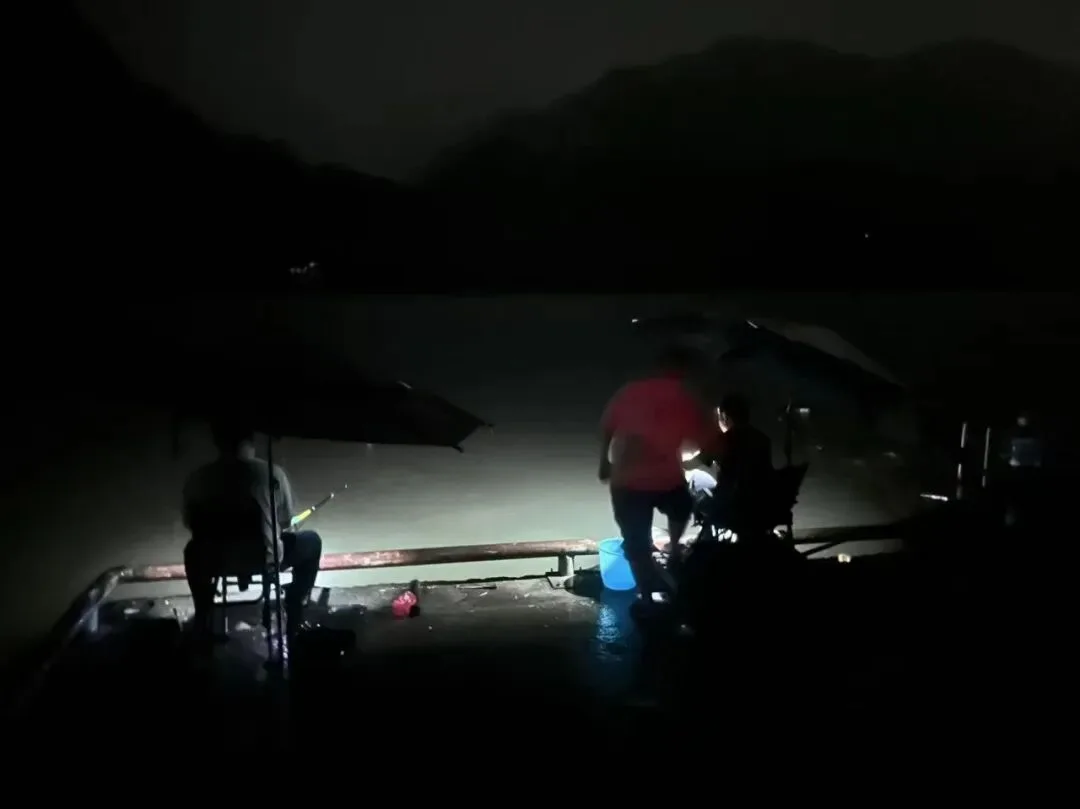 持续强降雨，泰顺连夜加强防御！ - 配图8