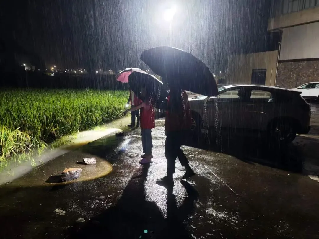 持续强降雨，泰顺连夜加强防御！ - 配图14